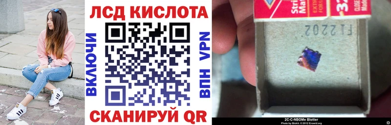 Купить где  Губкинский  Марки NBOMe 1,8мг 