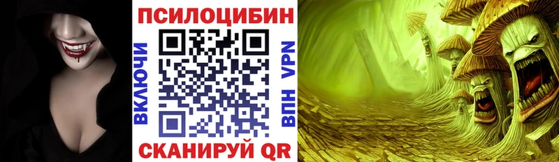 Купить  Губкинский  Псилоцибиновые грибы мухоморы 